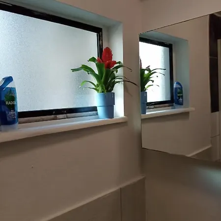 Jacuzzi Jungle Centre Apartment