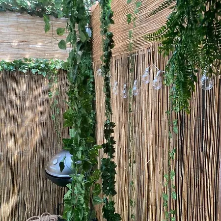 Jacuzzi Jungle Centre