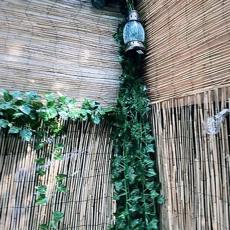 Jacuzzi Jungle Centre Apartment *
