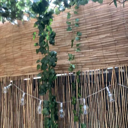 Apartamento Jacuzzi Jungle Centre Dublín